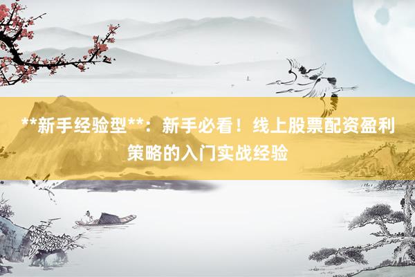 **新手经验型**：新手必看！线上股票配资盈利策略的入门实战经验