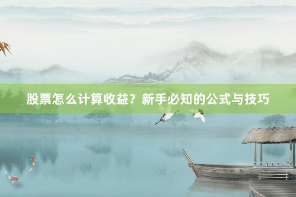 股票怎么计算收益？新手必知的公式与技巧
