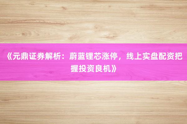 《元鼎证券解析：蔚蓝锂芯涨停，线上实盘配资把握投资良机》