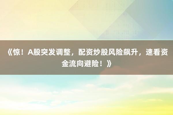 《惊！A股突发调整，配资炒股风险飙升，速看资金流向避险！》
