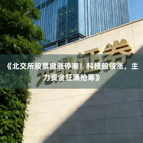 《北交所股票掀涨停潮！科技股领涨，主力资金狂涌抢筹》