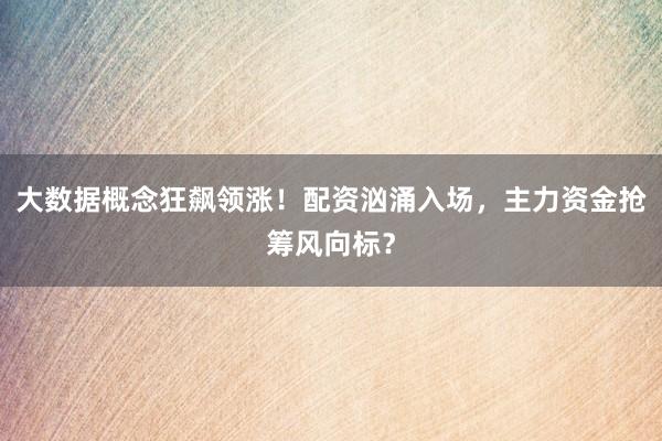 大数据概念狂飙领涨！配资汹涌入场，主力资金抢筹风向标？