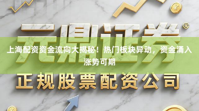 上海配资资金流向大揭秘！热门板块异动，资金涌入涨势可期