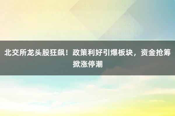 北交所龙头股狂飙！政策利好引爆板块，资金抢筹掀涨停潮