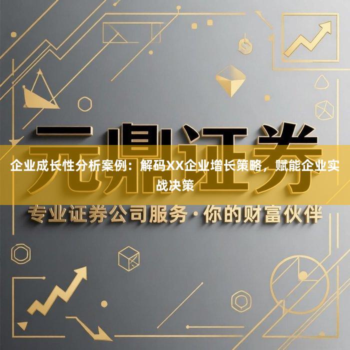 企业成长性分析案例：解码XX企业增长策略，赋能企业实战决策