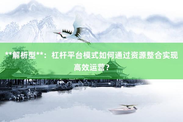 **解析型**：杠杆平台模式如何通过资源整合实现高效运营？