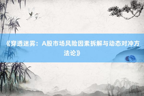 《穿透迷雾：A股市场风险因素拆解与动态对冲方法论》