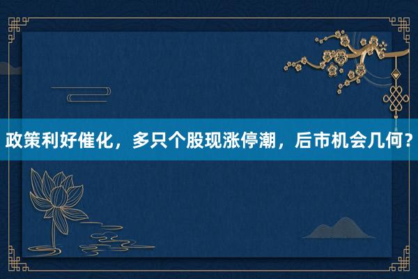 政策利好催化，多只个股现涨停潮，后市机会几何？