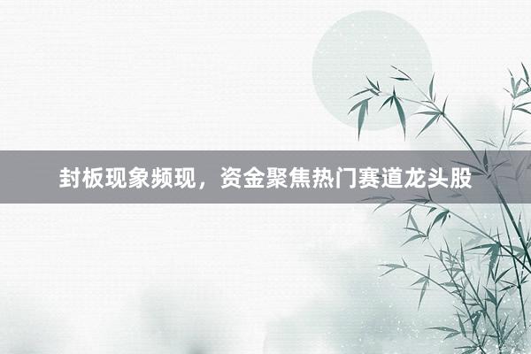 封板现象频现，资金聚焦热门赛道龙头股