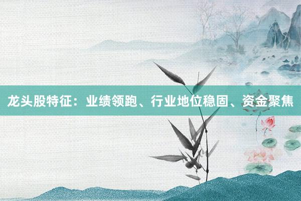 龙头股特征：业绩领跑、行业地位稳固、资金聚焦