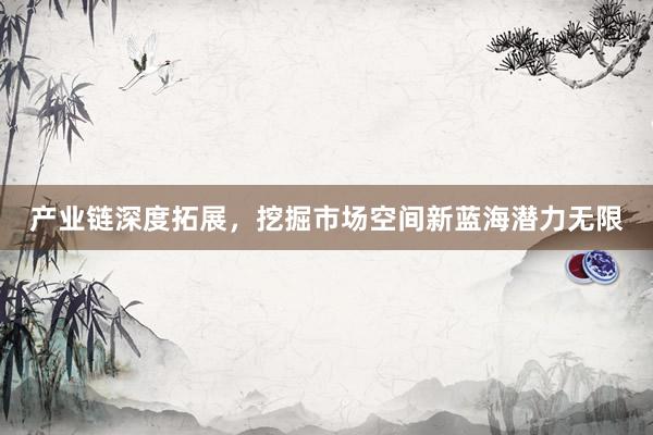 产业链深度拓展，挖掘市场空间新蓝海潜力无限