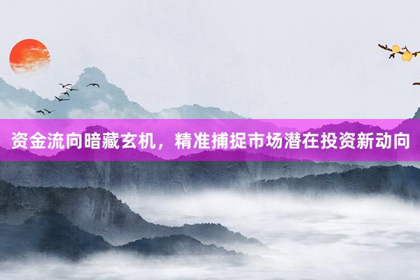 资金流向暗藏玄机，精准捕捉市场潜在投资新动向