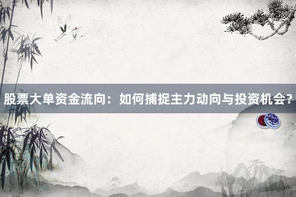 股票大单资金流向：如何捕捉主力动向与投资机会？