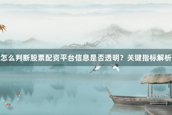 怎么判断股票配资平台信息是否透明？关键指标解析