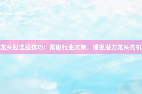 龙头股选股技巧：紧跟行业政策，捕捉潜力龙头先机